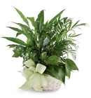 Woodland Greens Basket